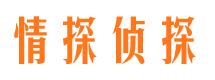 万载市调查公司